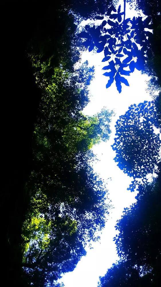 滑动蓝色方块